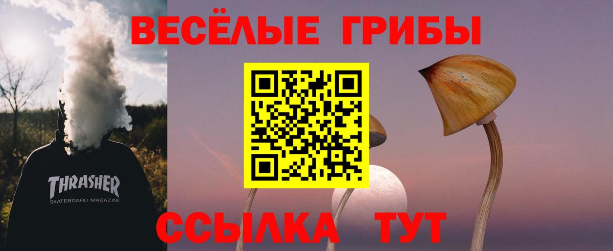 Ноябрьск  Псилоцибиновые грибы Psilocybine cubensis  Вход с VPN 