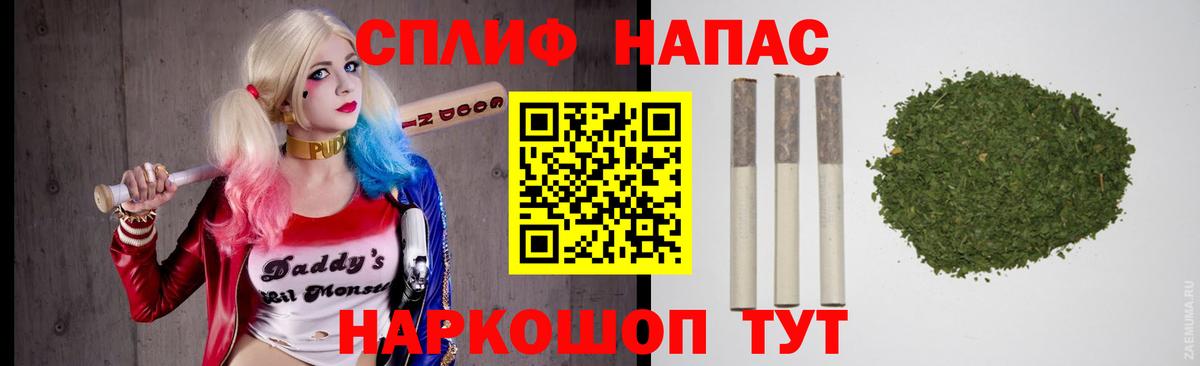 Бошки марихуана конопля Ноябрьск